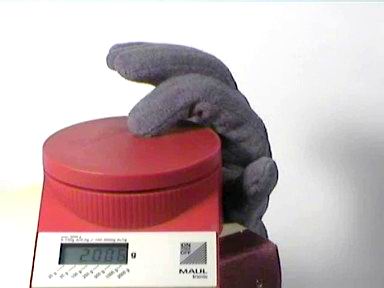 SRT-LAB Finger Force Demo Picture 3
